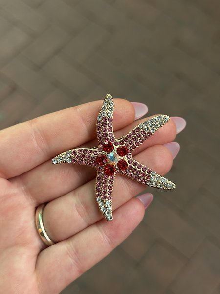 pembe deniz yıldızı broş